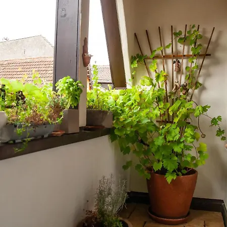 Ferienwohnung Maisonette Staufen im Breisgau